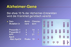 Chromosomen-Karte der Alzheimer-Gene